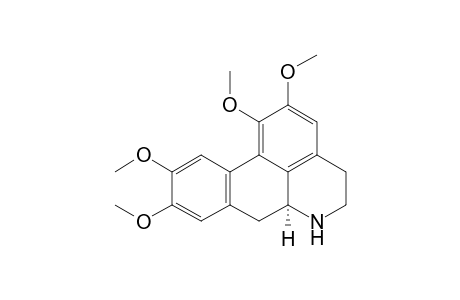 (+)-N-Norglaucine