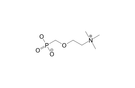 O-PHOSPHONATOMETHYL-CHOLINE-MONOHYDRATE