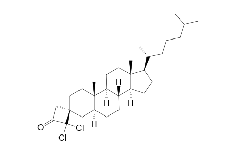 (3S,5S,8R,9S,10S,13R,14S,17R)-2',2'-dichloro-10,13-dimethyl-17-[(2R)-6-methylheptan-2-yl]spiro[1,2,4,5,6,7,8,9,11,12,14,15,16,17-tetradecahydrocyclopenta[a]phenanthrene-3,3'-cyclobutane]-1'-one