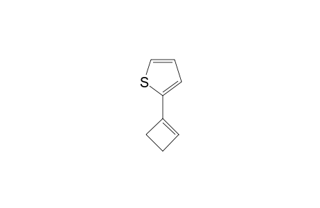 2-(1-Cyclobuteny)thiophene