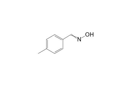 p-Methylbenzaldehyde oxime