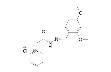 pyridinium, 1-[2-[(2E)-2-[(2,4-dimethoxyphenyl)methylene]hydrazino]-2-oxoethyl]-, chloride