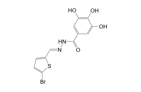 N'-[(E)-(5-bromo-2-thienyl)methylidene]-3,4,5-trihydroxybenzohydrazide