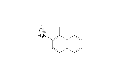 2-Naphthalenamine, 1-methyl-, hydrochloride, salt