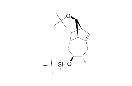 (1R*,5S*,6S*,8S*,9S*,10R*)-10-TERT.-BUTOXY-6-TERT.-BUTYLDIMETHYLSILOXY-5-METHYLTRICYCLO-[6.2.1.0-(3,9)]-UNDEC-2-ENE