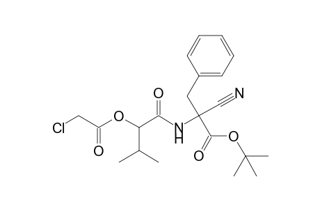 t-Butyl 2-[2'-(2"-chloroacetoxy)-3'-methylbutanamido]-2-cyano-3-phenylpropanoate