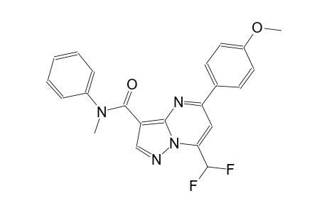 7-(difluoromethyl)-5-(4-methoxyphenyl)-N-methyl-N-phenylpyrazolo[1,5-a]pyrimidine-3-carboxamide
