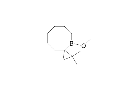 1-Methoxy-2,2-(1,1-dimethylethylene)boracyclooctane