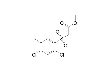 [(4-chloro-2,5-xylyl)sulfonyl]acetic acid, methyl ester