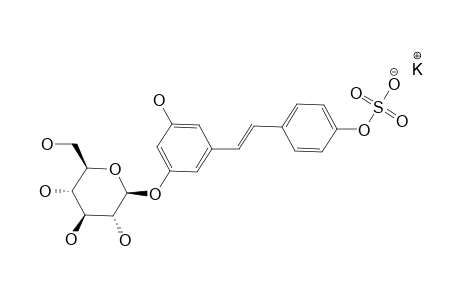 potassium [4-[(E)-2-[3-hydroxy-5-[(2S,3R,4S,5S,6R)-3,4,5-trihydroxy-6-methylol-tetrahydropyran-2-yl]oxy-phenyl]vinyl]phenyl] sulfate