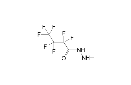 N-PERFLUOROBUTANOYL-N'-METHYLHYDRAZINE