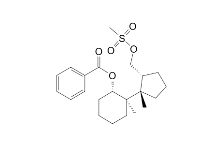 (1.alpha.)-2.alpha.-Methyl-2.beta.-(1.beta.-methyl-2.alpha.-methylsulfonyloxymethylcyclopenty)cyclohexyl benzoate