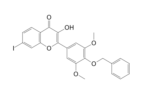 3-Hydroxy-7-iodo-2-(4-benzyloxy-3,5-dimethoxyphenyl)chromen-4-one