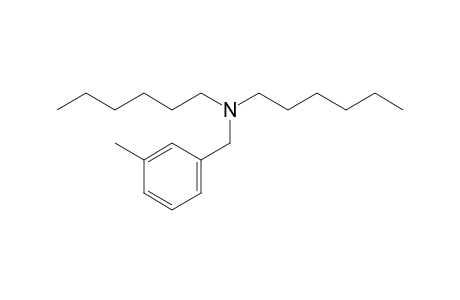 3-Methylbenzylamine, N,N-dihexyl-