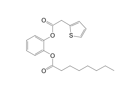 1,2-Benzenediol, o-octanoyl-o'-(thiophen-2-acetyl)-