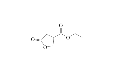 5-oxotetrahydro-3-furoic acid, ethyl ester