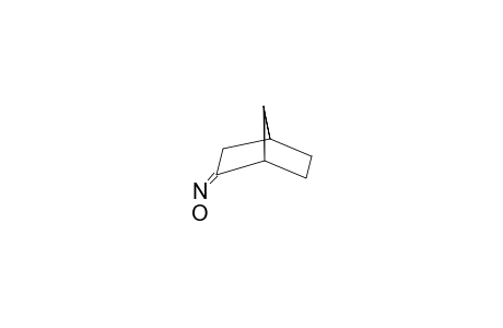 SYN-BICYCLO-[2.2.1]-HEPTAN-2-ONE-OXIME