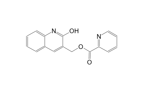 (2-hydroxy-3-quinolinyl)methyl 2-pyridinecarboxylate