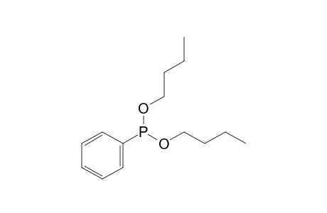 phenylphosphonous acid, dibutyl ester