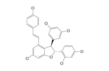 GNETUHAININ-A