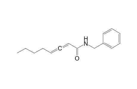 N-Benzyl octa-2,3-dienamide