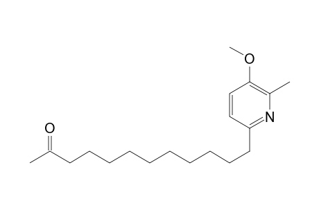 2-Dodecanone, 12-(5-methoxy-6-methyl-2-pyridinyl)-
