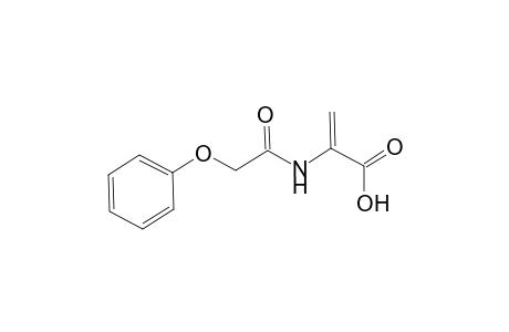 2-(2-phenoxyethanoylamino)prop-2-enoic acid