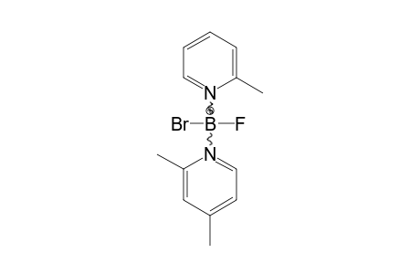 2-METHYLPYRIDINE-2,4-DIMETHYLPYRIDINE-BROMOFLUOROBORON-CATION