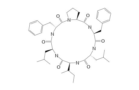 PHEPROPEPTIN-D;CYCLO-(-L-LEU-D-PHE-L-PRO-L-PHE-D-LEU-L-ISOLEU-)