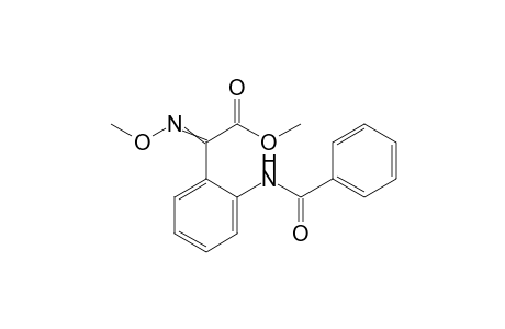 Benzeneacetic acid, 2-(benzoylamino)-alpha-(methoxyimino)-, methyl ester