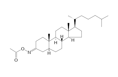 Cholestanone oxime acetate