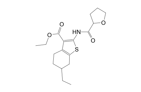 ethyl 6-ethyl-2-[(tetrahydro-2-furanylcarbonyl)amino]-4,5,6,7-tetrahydro-1-benzothiophene-3-carboxylate