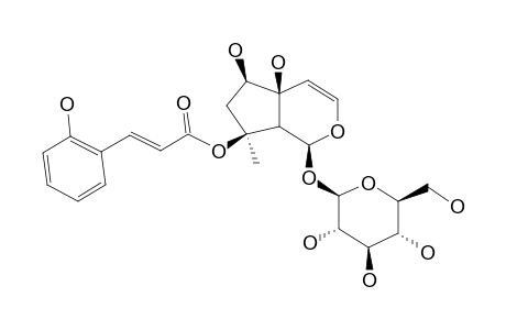 8-O-(2-HYDROXYCINNAMOYL)-HARPAGIDE