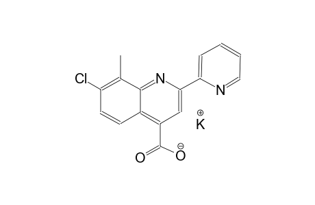 potassium 7-chloro-8-methyl-2-(2-pyridinyl)-4-quinolinecarboxylate