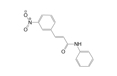 2-propenamide, 3-(3-nitrophenyl)-N-phenyl-, (2E)-