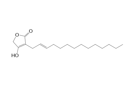 4-Hydroxy-3-[(E)-2-tetradecenyl]-2(5H)-furanone
