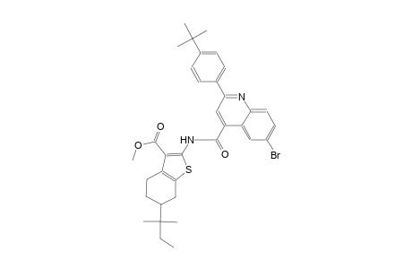 methyl 2-({[6-bromo-2-(4-tert-butylphenyl)-4-quinolinyl]carbonyl}amino)-6-tert-pentyl-4,5,6,7-tetrahydro-1-benzothiophene-3-carboxylate
