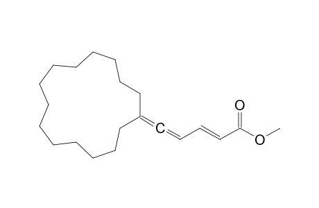 5-Cyclopentadecylidenepenta-2,4-dienoic acid methyl ester