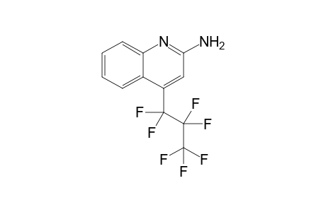4-(1,1,2,2,3,3,3-heptafluoropropyl)-2-quinolinamine