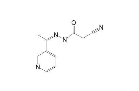 2-CYANO-N'-[1-(PYRIDINE-3-YL)-ETHYLIDENE]-ACETOHYDRAZIDE