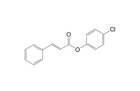 Cinnamic acid 4-chlorophenyl ester