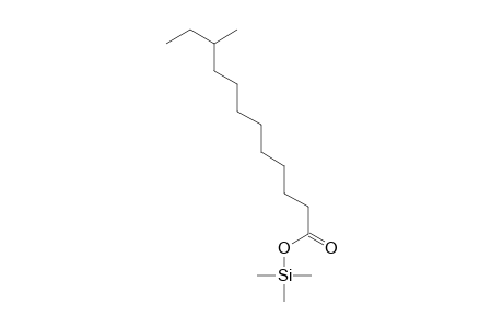 10-Methyldodecanoic acid trimethylsilyl ester