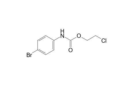 p-bromocarbanilic acid, 2-chloroethyl ester