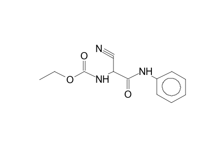 N-ETHOXYCARBONYL-ALPHA-CYANO-ALPHA-AMINOACETIC ACID, PHENYLAMIDE