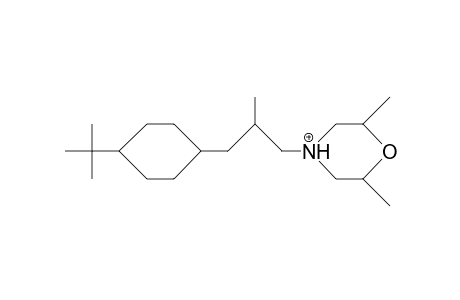 1-(cis-2,6-Dimethyl-morpholino)-2-methyl-3-(trans-4-tert-butyl-cyclohexyl)-propane cation