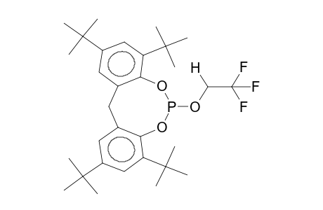 2,4,8,10-TETRA-TERT-BUTYL-6-(2,2,2-TRIFLUOROETHOXY)-12H-DIBENZO[D,G][1,3,2]-DIOXAPHOSPHOCIN