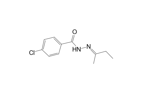 4-Chloro-N'-[(E)-1-methylpropylidene]benzohydrazide