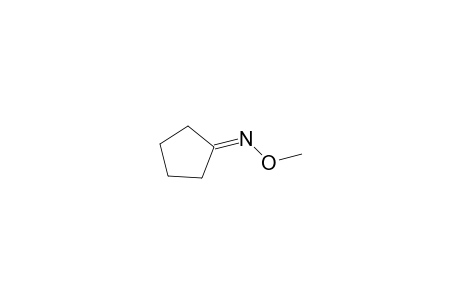 Cyclopentanone, O-methyloxime