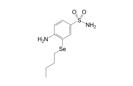 4-amino-3-(butylselenyl)benzenesulfonamide