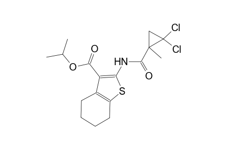 isopropyl 2-{[(2,2-dichloro-1-methylcyclopropyl)carbonyl]amino}-4,5,6,7-tetrahydro-1-benzothiophene-3-carboxylate